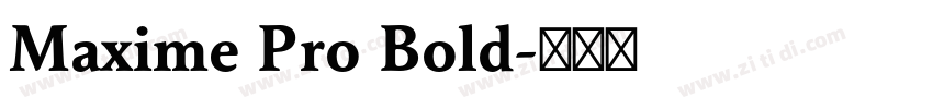 Maxime Pro Bold字体转换